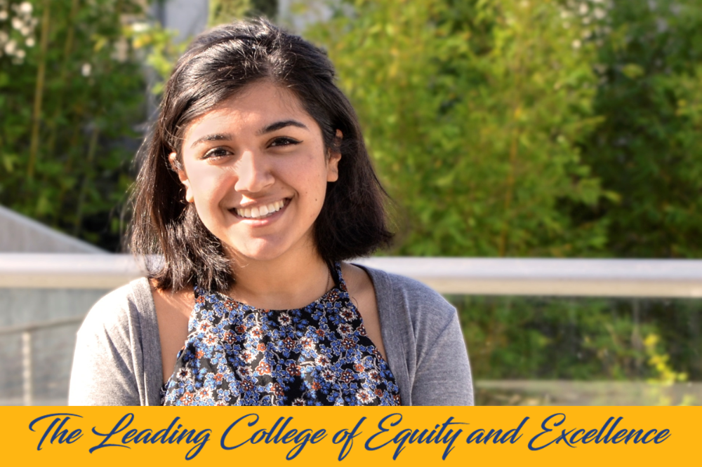AS President, Student Trustee Fakhrabadi Supports Equity as a Student
