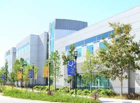 School of Health Sciences and Public Service