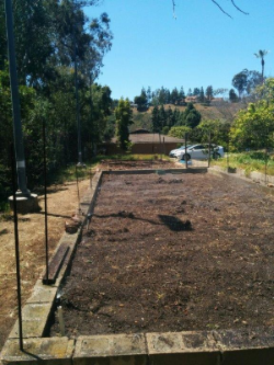 Mesa College Organic garden