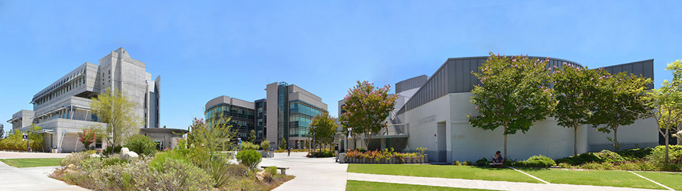 About Mesa San Diego Mesa College