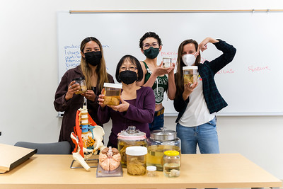 professor and students holding up brain matter